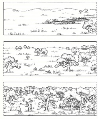Prairie to Savanna, The Tallgrass Restoration Handbook, Packard & Mutel, 1997